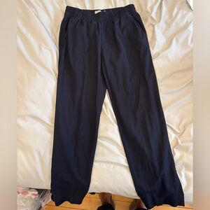 Everlane Dark Blue pants